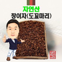 100% 자연산 창이자(도꼬마리) 300g/100g 야생 국내산 국산, 300g, 1개