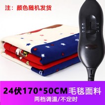 차박 캠핑 12V 24v 시가잭 덤프 트럭 화물차 시거잭 전기 장판 발열 온열 보온 담요 매트 패드 휴대용 1인용 워셔블 전기요, M.24볼트 - 길이 170cm/폭 50cm