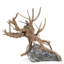 세틀 프리미엄 초야우드 선인장 유목 L 20cm.수이사쿠