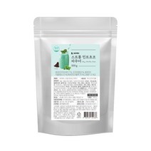 네이쳐티 홈카페 각종 카페재료 라떼 파우더, 스트롱민트초코파우더 500g