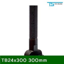 TNA492196T슬롯볼트TB24x300300mm(1EA)