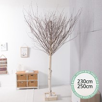 실내인테리어 인조나무 123종 / 플트 조화나무 C, C21.소원자작나무 250cmK/코너형