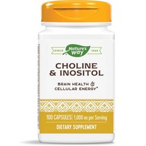 네이쳐스웨이 콜린 & 이노시톨 500mg 캡슐, 100개입, 1개