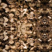 창출 편 삽주뿌리 100g b 중국산 한방재료 건강 약초, 단품, 단품