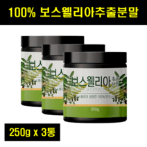 보스헬리아 가루 보수엘라 분말 보스베리아 보스웰리스 보스벨리아 100% 100퍼센트 100프로 100g 250g 3통