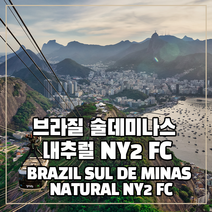 (커피생두) 49 브라질 술데미나스 내추럴 NY2 FC 1kg