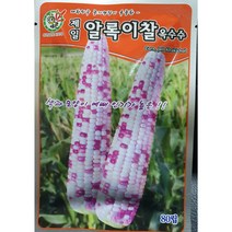 박사찰옥수수80립/알록이찰 80립/흑찰50립/박사찰150립, 알록이옥수수 80립