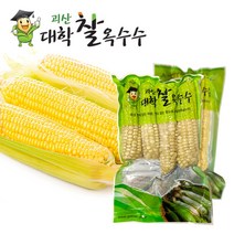 수확 후 바로삶은 괴산 못난이 대학 찰옥수수 20개(4개씩포장)