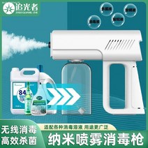 전해수기 차아염소산나트륨 발생기 소독제 가정용 소독수 제조 기계 휴대용 이중 헤드 분무 소독 건, [09] 8806 브래킷 인체 유도 모델