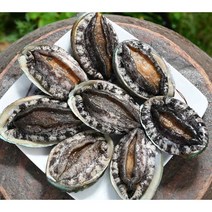 (선물용 특대전복)명품4호 대전복 선물세트 1.5kg(1kg 12미~13미)+고급선물가방, 명품7호 1.5kg(1kg9~10미)+선물포장, 1.kg