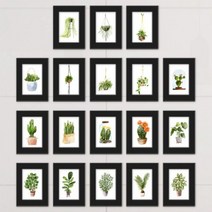 화분수채화 액자세트.꾸밈, 블랙