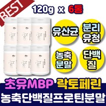 대용량 초유 성분 락토페린 단백질 유산균 엠비피 락토패린 분리 유청 가루 분말 단백질 파우더 파우다 쉐이크 출산후 직장인 10일 여성 남성 2주 추첨 함유 질 중년 락토바실러스