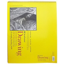 Strathmore 300 시리즈 드로잉 패드, 50 Sheets, Wire Binding