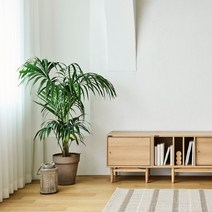 한샘 클린트 레코드 거실장 50cm 보조수납장 (2종 택1), 오크(A)