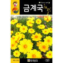 금계국 꽃씨 200립 꽃씨키우기 화단가꾸기