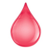 몰드몰 자운고인퓨즈드 캐리어오일, 500ml
