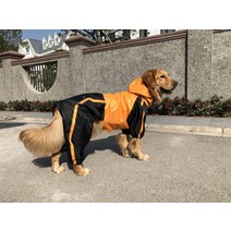 제조사 직거래 반려동물 의류 빅 도그 레인코트 빅 도그 네발 레인코트 빅 도그 펫 레인코트, 주황색, L-XS