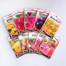 각종 꽃씨앗 일년생 다년생 야생화 사계절 고급 꽃씨 종자 모음, 95 풍접초(자홍색)200립, 1개