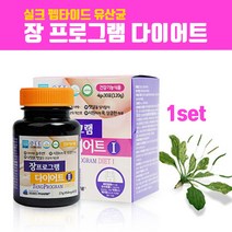 실크피브로인유산균 다이어트 장밀착 유산균 분말 가루 캡 식약처인증 누에고치 가수분해물 저분자 실크프로틴 실크펩타이드 아미노산 차전자피 식이섬유 녹차카테킨 HCA 효능 추천 해썹인증, SDP 1vor
