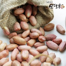 [특품] 2022년산 햇 생땅콩 국산생땅콩 날땅콩 국산땅콩, 1개, 500g