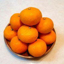 가락시장 토박이유통 제주 공샘이 귤 S 5kg