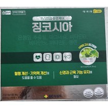 SK케미칼 파워키넥신 은행잎추출물, 120정, 1개