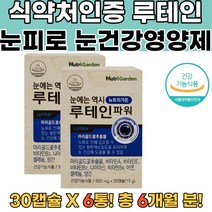 식약처확인 눈답답영양제 눈침침영양제 루테인 6통 눈관리 눈영양제루테인 눈피로푸는법 지아잔틴루테인 눈건강영양제 비문증영양제 근시영양제 나이아신 눈건강영양제 비문증검사 눈비문증
