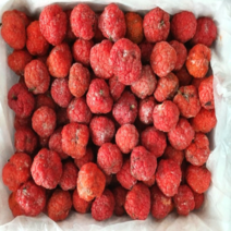 국내산 구지뽕 열매 1kg 5Kg 고당도 냉동 산지직송 당일수확 신선한 구지뿅 농장직송 국산, 구지뽕열매1Kg