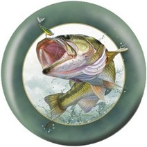 볼러스토어 피딩타임 큰 입 배스 볼링공 하드볼, 14lbs