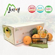 [KT알파쇼핑]산지애 배그대로 주스 60팩 / 배즙 100% 착즙 NFC, 단일상품_수량_상세페이지참조, 상세페이지참조, 단일상품_개당 용량/중량/정_상세페이지참조