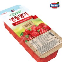 동서 리치스 밸리 냉동 가당딸기 1kg 딸기퓨레 스무디