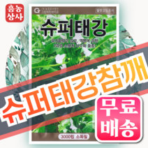 흥농상사 슈퍼안산 참깨씨앗 3 000립 백설깨 종자 품종, 슈퍼태강참깨 3000립