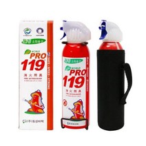 초기화재 진압용 월드프로 119 휴대용소화기 255ml 거치대 케이스포함 산업안전용품 휴대용소화기 소화기, 1