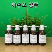 [더위치]모근 튼튼 하수오 샴푸만들기 키트 250ml 5개 한방샴푸