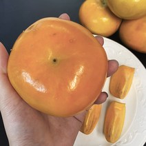 22년 경남 부유단감 중대과 3kg 5kg 10kg, 경남 단감 5kg (25~35과)