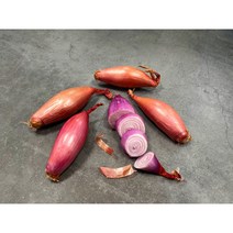 샬롯양파 미니양파 보라양파 적양파 바나나 샬롯 500g, 1개