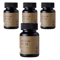 닥터 에스더 에스더포뮬러 락토 식물성 비햄철 철분 엽산 임산부 수유부 여 예스더 여예스다 여에스터, 1    통, 4개