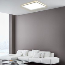 LED 방등 이루리 직사각 60W, 단품