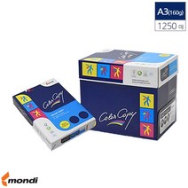 A3 복사용지 컬러레이저 프린터용지 백색 160g 1250매 +kk;ft*, ◈선택⊙, ◈선택⊙