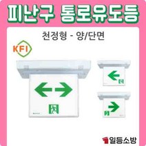 LED 거실통로 중형 유도등 천정형 좌/우/양방향 양/단면 유19-16, 좌방향-양면