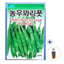 2023 꽈리풋 1200립 꽈리 고추 종자 씨 씨앗 + 고추칼슘500ml 농사친구, 꽈리풋1200립+고추칼슘500ml