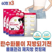 가르시니아 단기간다이어트 뱃살빼는음식 윗배 체지방 빼는법 HCA 뱃살다이어트보조제 예신 여자 HCA x3