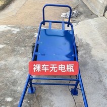 전기 치킨 버스 트롤리 단일 및 이중 휠 650 와트 농업 등반 외발 자전거 과수원 농지 운송 차량용 대형 전기 모터, 전동 2 륜 【배터리 없음】