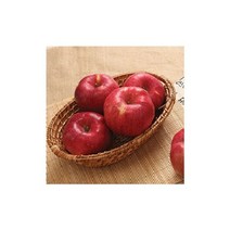 2022 경북 햇사과(홍로) 3kg (14~18과), 단일옵션