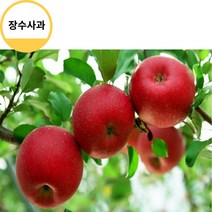 장수사과 고랭지사과 제수선물용 홍로사과5kg 9/10과 사과따기체험 사과다이어트 사과빵 사과잼 사과쥬스, 상세페이지 참조