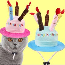 모스트 강아지 고양이 생일케이크 파티모자, 파랑