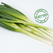 반포푸드 국내산 손질 세척 대파 600g, 2개