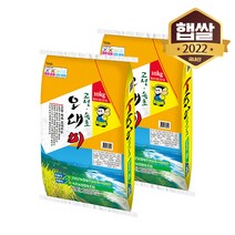 [고성군농협] 22년 햅쌀 고성속초 오대미 20kg, 1