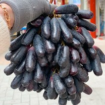 아들셋맘과일 블랙사파이어 크림슨 가지포도 캔디포도 애플청포도 1kg 2kg 4kg, 크림슨 1kg