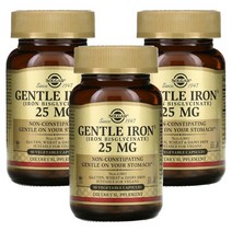솔가 젠틀 아이언 철분 25mg 90정 3팩 Solgar Gentle Iron, 1개, 기본